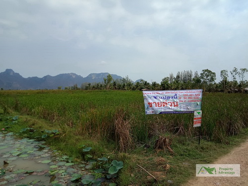 ขายที่ดินเปล่า 14-3-23 ไร่ ต.ไร่เก่า อ.สามร้อยยอด จ.ประจวบคีรีขันต์