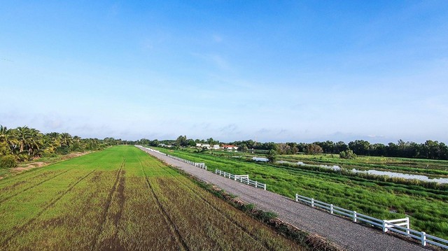ขายที่ดินแปลงสวย คลอง 9 หนองเสือ ตะวันออก เริ่มต้น 200 ตรว มีน้ำไฟ ถนนกว้าง 6 เมตร