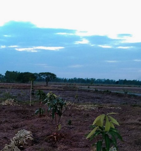 ขายที่ดินเปล่า เนื้อที่ 5 ไร่ 2 งาน 40 ตรว อ.เมืองอุดร ใกล้แหล่งชุมชน ติดถนน ทล.2 อุดร-ขอนแก่น กม.19