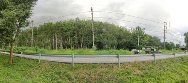 ขายที่ดินพร้อมสวนยางและโกดังพื้นที่ 8 ไร่หน้ากว้าง 135 เมตร ในอำเภอ วังจันทร์ ระยอง