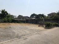 ายที่ดินเปล่าแปลงสวย 116 ตร.ว ซอยปุณณวิถี สุขุมวิท 101 ใกล้รถไฟฟ้า BTS ปุณณวิถี เพียง 1.6 กม.