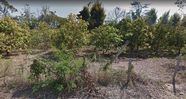 H0002 ขายที่ดินเกือบ 4 ไร่ จอมทอง เชียงใหม่ ใกล้วัดล้านนาญาณสังวราราม