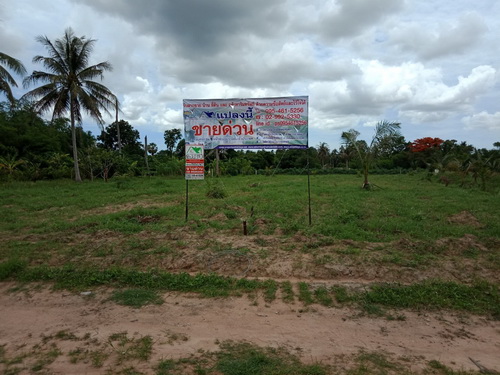 ขายที่ดินเปล่า 1-2-77 ไร่ ต.โป่ง อ.บางละมุง จ.ชลบุรี ทำเลดี