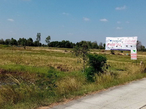 ขายที่ดิน 1-3-73 ไร่  ทำเลดี ต.หนองแวง อ.พุทไธสง จ.บุรีรัมย์ 