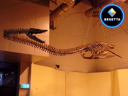 พิพิธภัณฑ์ของดีเมืองกาฬสินธุ์