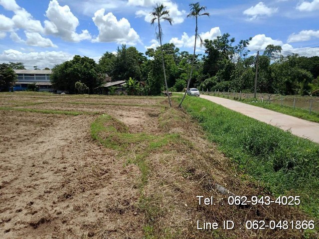 T00539ขายที่ดิน ที่นาขั้นบันได 3-0-59 ไร่ ต.ห้วยแก้ว อ.แม่ออน โฉนดพร้อมโอน