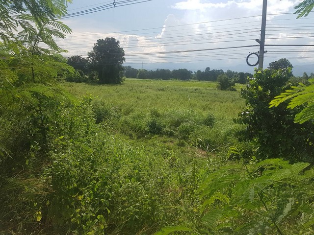 ที่ดินดีดีสวยสวย ติดถนนเอเซีย  ติดถนนพหลโยธิน  3-1-40ไร่ ต.ตากออก อ.บ้านตาก จ.ตาก