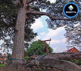 วัดยาง ณ รังสี