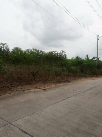 ขายที่ดินแปลงสวย 4-2-49 ไร่ หนองขาม ติดถนน เดินทางสะดวก มีน้ำไฟพร้อม ใกล้สวนเสือศรีราชา ชลบุรี