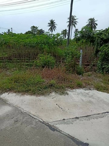 ขายที่ดินแปลงใหญ่ 11-1-70ไร่ หุบบอน ศรีราชาอากาศดี วิวเขา น้ำไฟพร้อม เดินทางสะดวก หนองขาม ชลบุรี