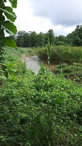 ที่ดินวิวดีจะขาย ติดลำธาร ตำบลพงษ์ อำเภอสันติสุข จังหวัดน่าน  