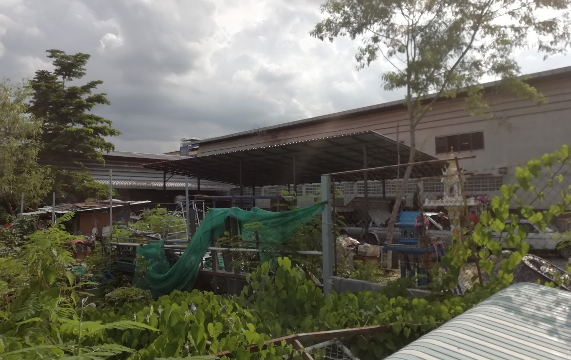 ขายด่วนที่ดินเปล่าซอยรังสิต-ปทุมธานี 37 ตำบลบางพูน อำเภอเมือง จังหวัดปทุมธานี 200 ตรว. 