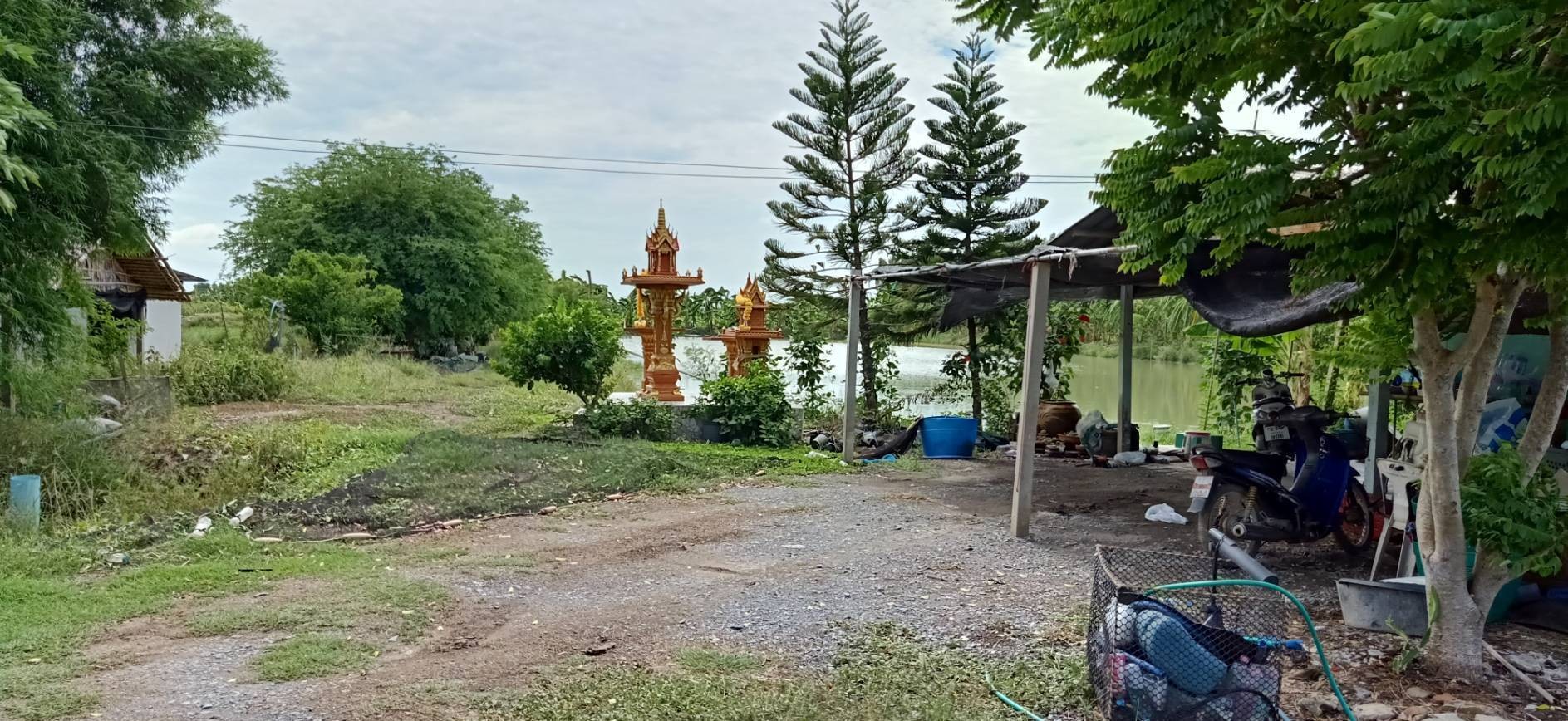 ขายที่ดิน เนื้อที่12 ไร่ 1ตรว. ต.บางไทรป่า อ.บางเลน จ.นครปฐม