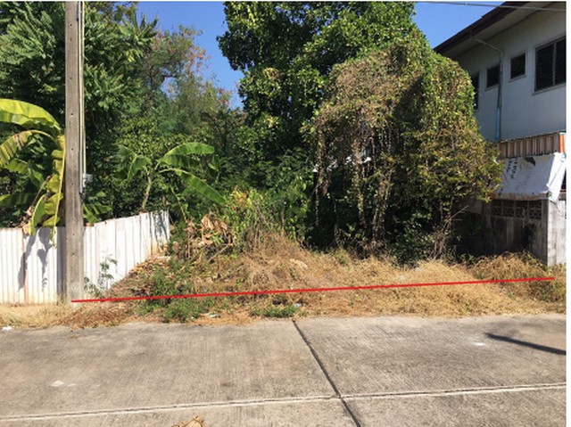 ขาย ที่ดิน : พนมแลนด์แอนด์เฮ้าส์ (ฉะเชิงเทรา) 0801532451