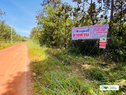 ขายที่ดินเปล่า   11-2-3  ไร่ ทำเลดี  ต.นาทับไฮ  อ.รัตนวาปี  จ.หนองคาย   