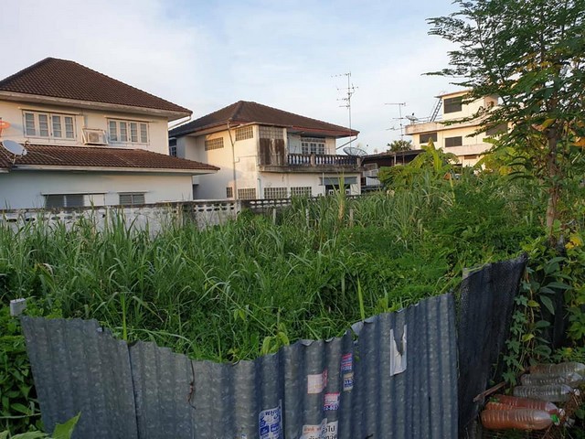 ที่ดินขาย : ที่ดิน (ซอยประชาอุทิศ 54)Land at (Pracha Uthit 54) 0801532451