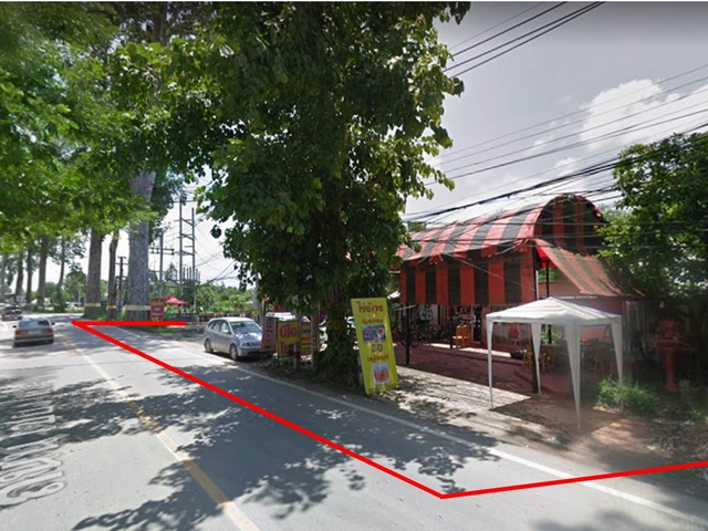 ขายที่ดินสารภี เนื้อที่ 13ไร่ ต.หนองผึ้ง  อ.สารภี จ.เชียงใหม่ ติดถนนใหญ่เชียงใหม่ – ลำพูน ต้นยาง  