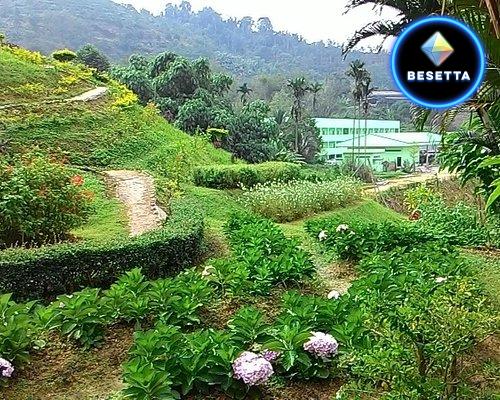 โครงการไม้ดอกเมืองหนาวเบตง