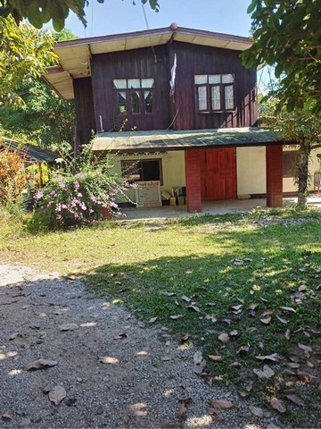 ขายที่ดินเชียงราย พื้นที่ 5 ไร่1งาน พร้อมบ้าน และสิ่งปลูกสร้างบ้านพัก