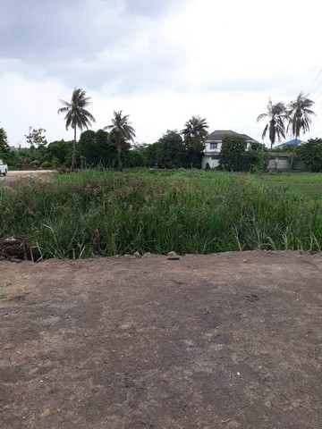 ขายที่ดินนาดี สมุทรสาคร เนื้อที่ 4 ไร่ ทำเลดีห่างถนนเศรษฐกิจ 50 เมตร รหัสSJ1652